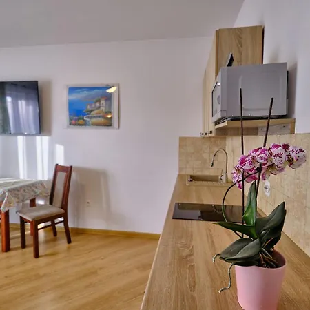 U Bulisa Apartment Wladyslawowo Exterior photo