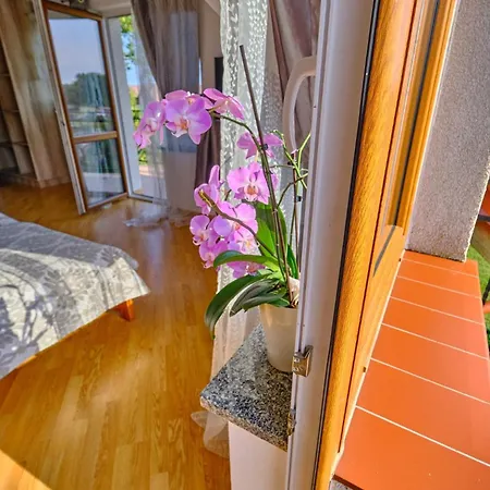 U Bulisa Apartment Wladyslawowo Exterior photo